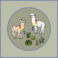 Vector background hand drawn exotic wild llama alpaca. Hand drawn ink illustration. Modern ornamental decorative background. Squar